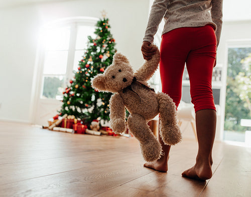Little girl with her Christmas gift.