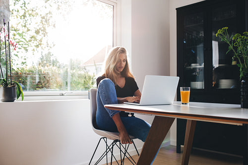 Young woman sitting in kitchen and working on laptop