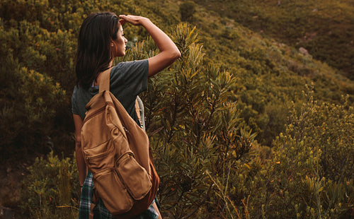 Female hiker looking at a view