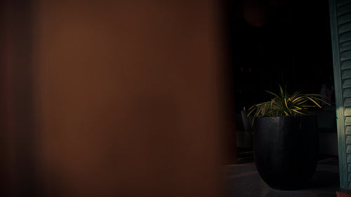 Elegant couple walks into a luxurious tropical resort lounge at sunset for an evening