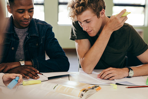 University students studying in library