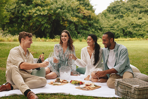 Group of friends having  a luxury picnic party
