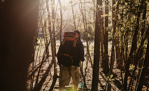 Hiking through woods