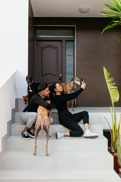 Cheerful couple taking a selfie with their dogs at home