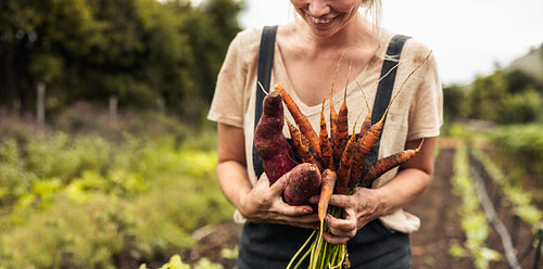Cheerful female farmer holding freshly picked carrots and sweet potatoes