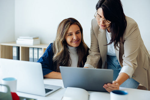 Business professionals collaborate over laptop