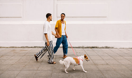 Couple walking their dog holding hands together on a sunny city sidewalk