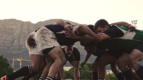 Rugby players pushing in a scrum
