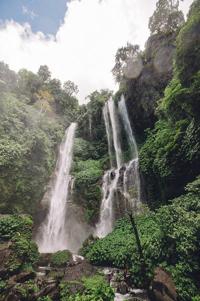 Beautiful waterfall in rain forest