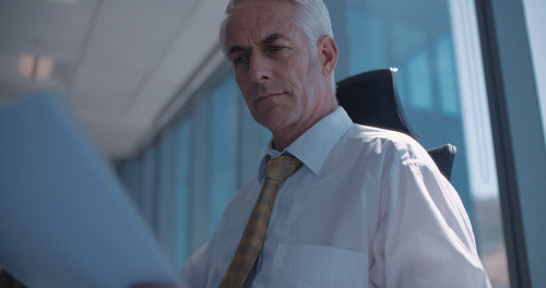 Mature businessman at work