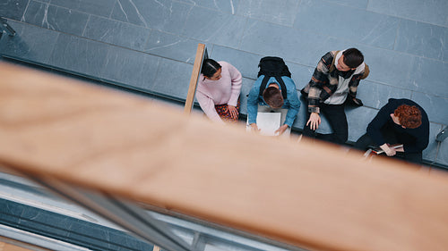 Studying as a group before exams, college students sit on campus and have a discussion on their school work