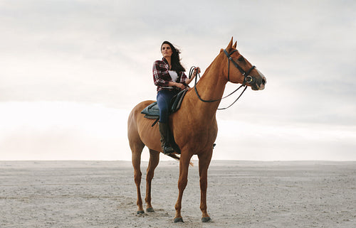 Female equestrian on her horse