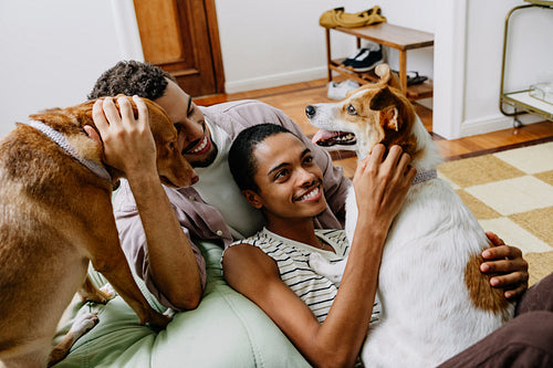 Couple playing with rescue dogs at home