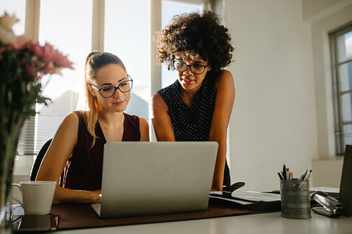 Two businesswomen discussing new project in office
