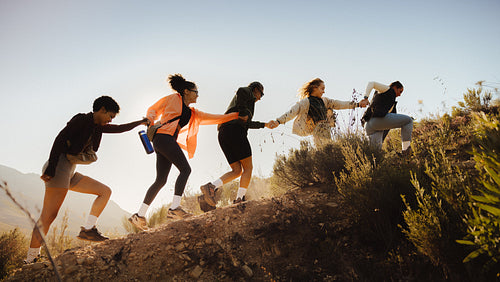 Group hiking uphill on a sunny trail