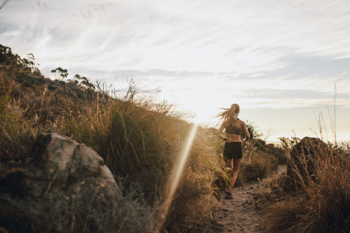 Runner working out in beautiful nature