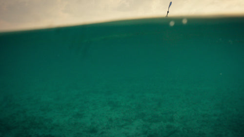 Vacationing family enjoying a serene clear kayak adventure on crystal clear tropical waters