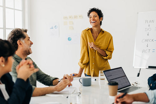 Professional business woman having a meeting with her colleagues in an office