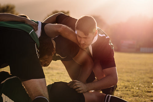 Rugby players pushing in a scrum