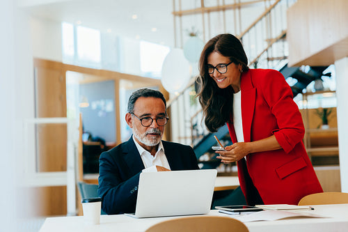 Senior professionals discussing project details at a laptop in an office setting