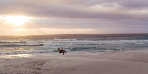 Horse riding on the beach at sunset