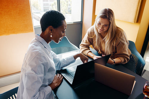 Businesswomen working on laptops together in a modern office setting