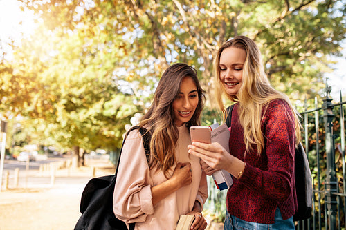 Female students using cellphone on road