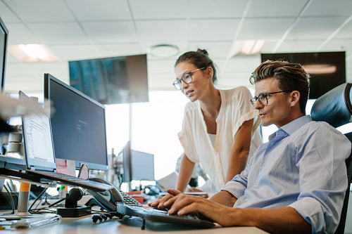 Mature businessman working on computer with colleague