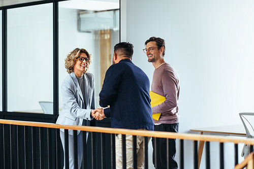 Successful business woman shaking hands with a client in an office