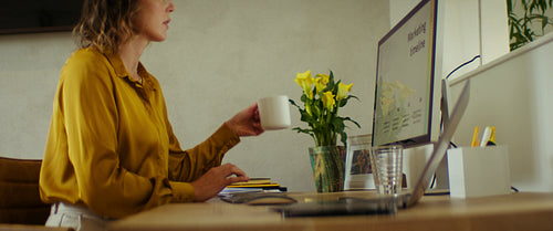 Businesswoman reviewing marketing timeline overview on computer in home office