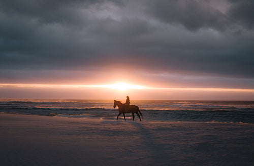 Horse riding at sunset on the beach