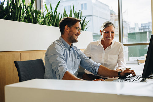 Male professional with manager working on computer