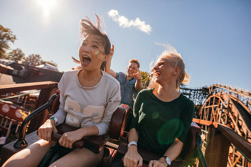 Young friends on thrilling roller coaster ride