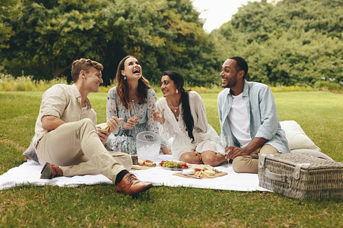 Group of friends having fun on the picnic at the park