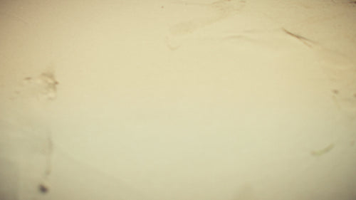 Family actively participating in a meaningful coral conservation project on a beautiful tropical beach