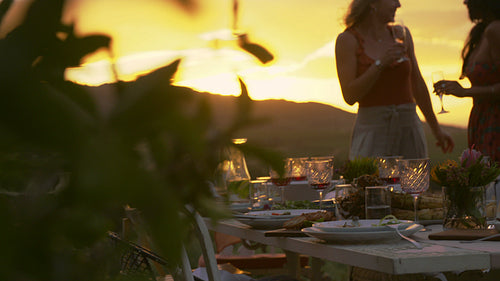 Friends partying outdoors