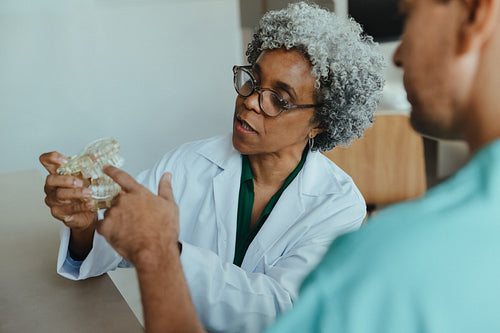 Dentist explains treatment using a tooth model to patient