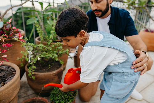 Father and son gardening together on a sunny day outdoors