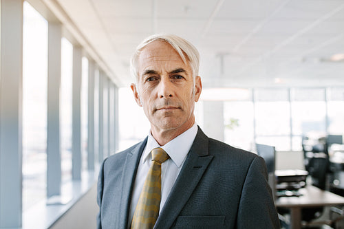 Portrait of handsome mature businessman in office