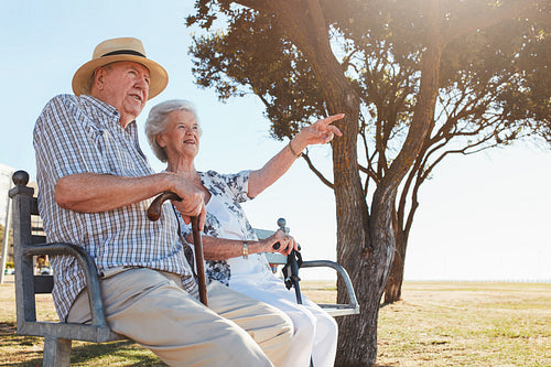 Happy senior couple sitting on a park bench