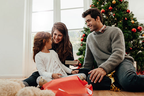 Family celebrating Christmas at home.