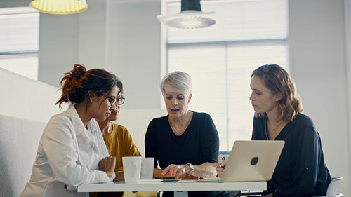 Group of female professionals discussing a project
