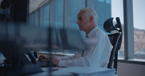 Mature businessman working on computer 