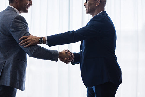 Sophisticated business men shaking hands with each other