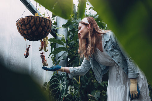 Female gardener taking care of plants