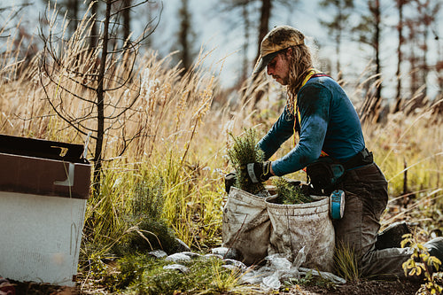 Ranger working on sustainable reforestation