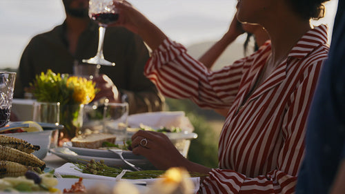 Friends having a celebratory toast