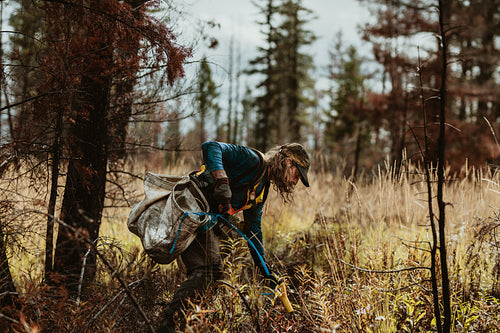 Forest conservation and sustainability work