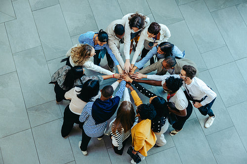 Group of colleagues in an introduction session showcasing unity