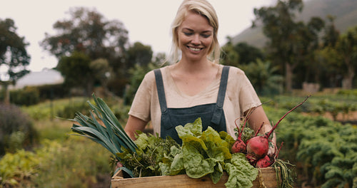 Organic farmer carrying fresh vegetables on her farm